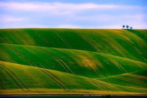 ADAMA LANSEAZĂ TREI SUPER PRODUSE TOAMNA 2017 ŞI PRIMĂVARA 2018 Meteo