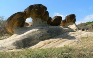 TROVANȚII, MINUNILE DE LA BUZĂU Realitatea Rurala