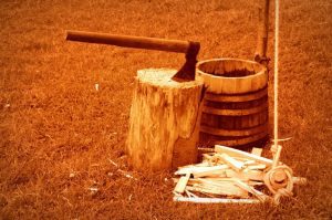 UN SIBIAN ȘI-A OMORÂT CUMNATUL CU TOPORUL, DUPĂ UN BOTEZ Agricultura