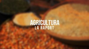INDAGRA 2017: TRANSMISIUNI LIVE PE AGRO TV. VEZI PROGRAMUL! Agricultura europeană