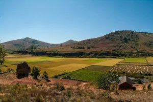 CINE NU ARE BATRANI, SA-SI CUMPERE UN TELEFON INTELIGENT Agricultura