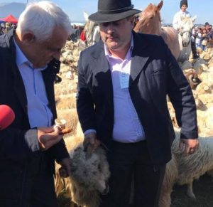 BRAȘOV: CEA MAI GRAVĂ PROBLEMĂ A OIERILOR- CRIZA FORȚEI DE MUNCĂ Agricultura
