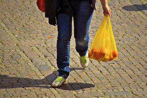GUVERNUL INTERZICE PUNGILE DE PLASTIC. AFLĂ MAI MULTE! Agricultura
