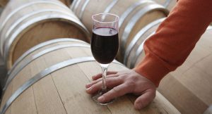 VINUL AR FI APĂRUT ACUM 8000 DE ANI ÎN MUNȚII CAUCAZ Stiri agricole