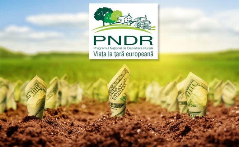 PNDR