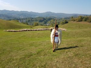 DEGUSTĂRI GRATUITE DE PREPARATE DIN CARNE DE OAIE, ÎN PIAȚA OBOR Tehnologii si utilaje