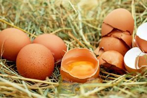 MINISTRUL DAEA SUSȚINE CĂ PREȚUL CRESCUT AL OUĂLOR ESTE CONSECINȚA SCANDALULUI FIPRONIL Stiri agricole