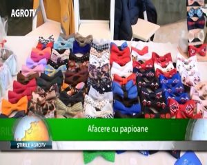 AFACERE CU PAPIOANE... DIN LEMN Afaceri