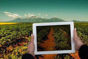 ROMANIA TRAGE TARE CU DOUA MOTOARE: TEHNOLOGIA INFORMATIEI SI AGRICULTURA Meteo