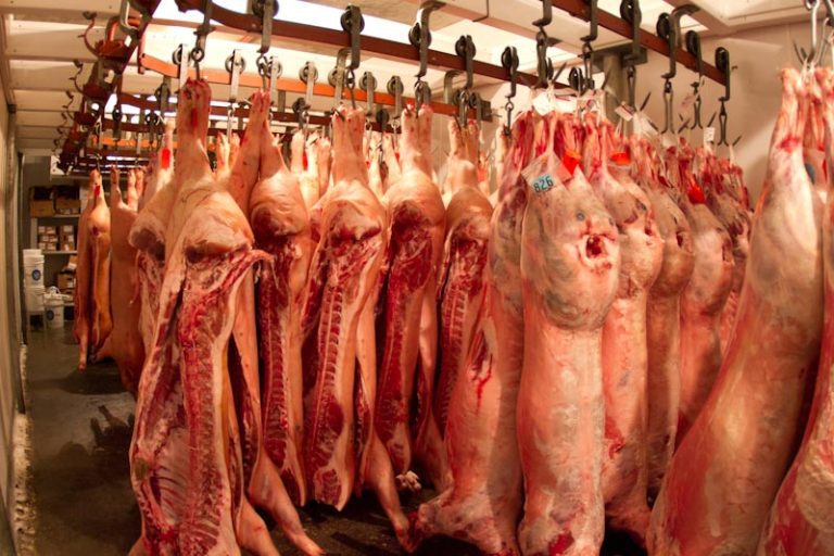 ANPC: Atenție de unde cumpărați carnea de porc! Mâncare stricată la Târgul de Crăciun 7 ANPC: Atenție de unde cumpărați carnea de porc! Mâncare stricată la Târgul de Crăciun porc