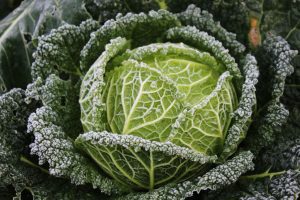 SFATURI PRACTICE PENTRU LUNA DECEMBRIE Afaceri