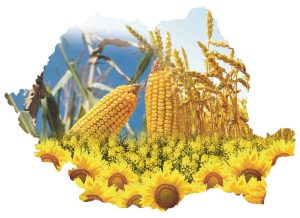 AGRICULTURA ROMANEASCA A DEPASIT MEDIA EUROPEANA DAR TREBUIE APASATA ACCELERATIA Evenimente