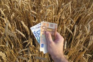 APIA A STABILIT SUMELE ALOCATE PENTRU AJUTOARELE NATIONALE TRANZITORII AFERENTE CAMPANIEI 2017 Stiri agricole