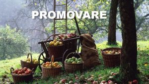 COMISIA EUROPEANA CRESTE FINANTAREA PENTRU PROMOVAREA PRODUSELOR AGRICOLE Stiri agricole