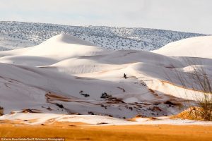 HAOS LA "POARTA DESERTULUI" DUPA PRIMA ZAPADA CAZUTA IN ULTIMII 37 DE ANI Legislatie