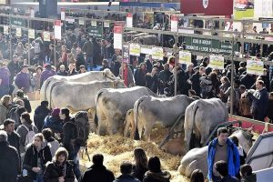 REPREZENTANTII MADR AU PARTICIPAT LA SALONUL INTERNATIONAL AL AGRICULTURII DE LA PARIS Evenimente
