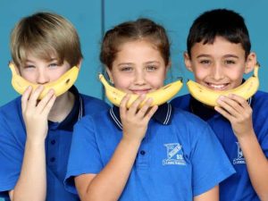 DEPUTATI AU APROBAT: BANANE SI ALTE FRUCTE SI LEGUME DISTRIBUITE ELEVILOR PRIN PROGRAM EUROPEAN Tehnologii si utilaje