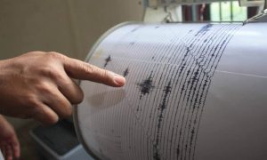 INFP: Sistem de alertare seismică cu 25 de secunde înainte. Ce poți face în 25 de secunde Actualitate Pesta porcină africană