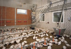 APIA A DEMARAT PLATILE LA CERERILE AUTORIZATE PENTRU MASURA 215 Legislatie