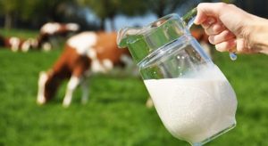 CRESTE CANTITATIV COLECTAREA LAPTELUI DE VACA Comunicate
