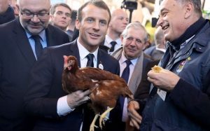 O GAINA DE LA SALONUL AGRICOL PARISIAN ESTE CEL MAI NOU OCUPANT AL MENAJERIEI LUI MACRON Comunicate