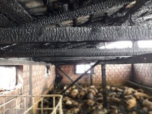 SOLIDARITATE: CALIN NAITA, SIBIANUL CARE SI-A PIERDUT OILE INTR-UN INCENDIU, VA FI AJUTAT DE ALTI CRESCATORI DIN TARA Afaceri