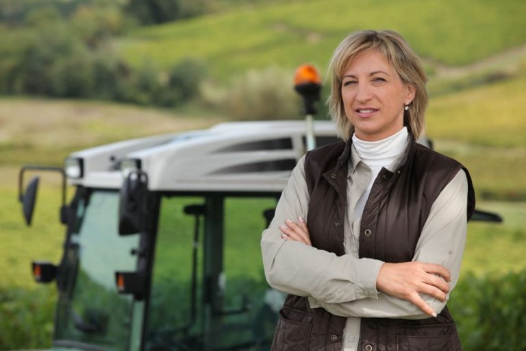 sectorul agroalimentar