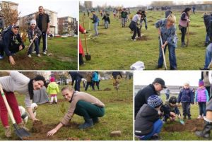 15 MARTIE - 15 APRILIE, CAMPANIA NATIONALA "LUNA PLANTARII ARBORILOR" Evenimente