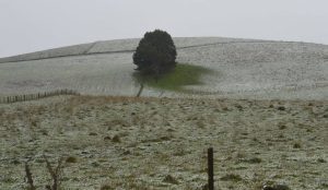 meteo