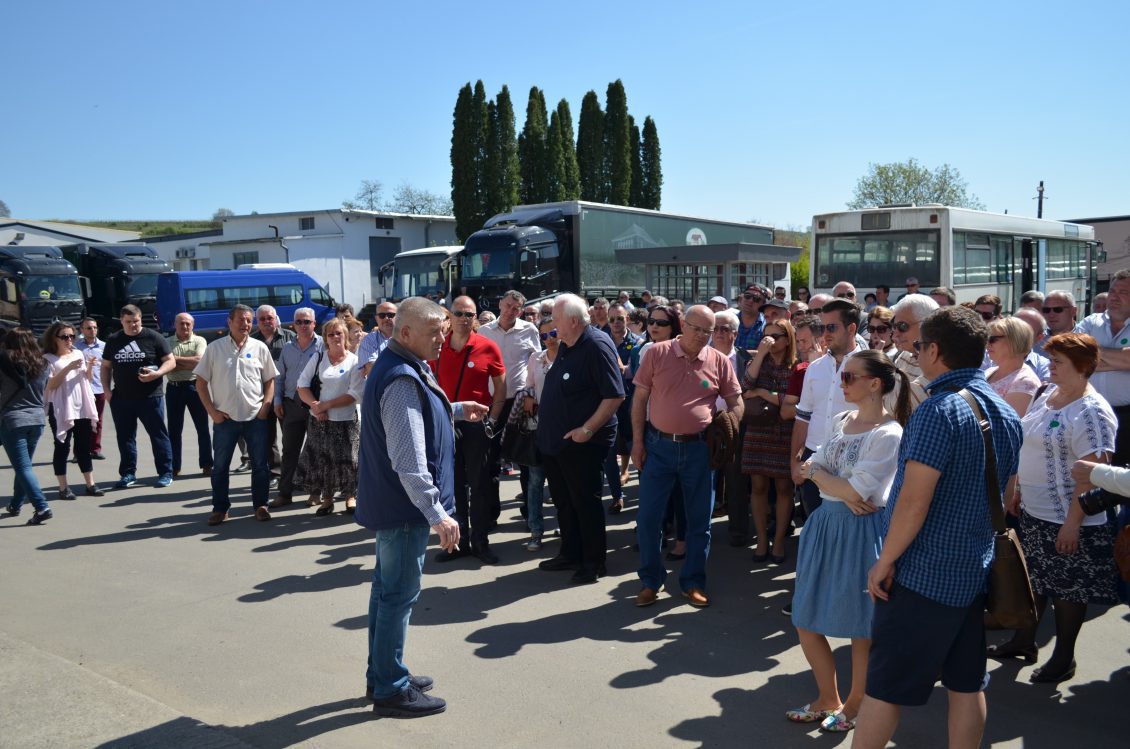 "VIN DE CASA DIN MUST DE LA JIDVEI", ROADE CARE SE CULEG PRIMAVARA 1 "VIN DE CASA DIN MUST DE LA JIDVEI", ROADE CARE SE CULEG PRIMAVARA "VIN DE CASA DIN MUST DE LA JIDVEI", ROADE CARE SE CULEG PRIMAVARA Evenimente