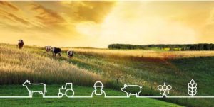 PERSPECTIVE ALE EVOLUTIEI PRODUCTIEI AGRICOLE EUROPENE IN PERIOADA 2018-2019 Agricultura europeană