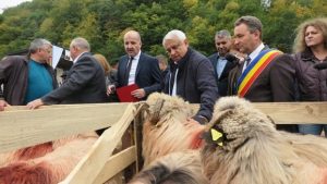 CARAVANA "ALEGE OAIA" ISI CONTINUA DRUMUL PRIN TARA. SAMBATA VA FI LA PITESTI Evenimente