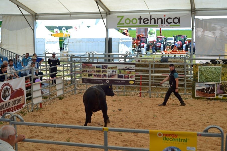 AGRIPLANTA-ROMAGROTEC (17-20 MAI 2018, FUNDULEA) - ECOURI LA FINALUL UNUI EVENIMENT DE MARE SUCCES 6 AGRIPLANTA-ROMAGROTEC (17-20 MAI 2018, FUNDULEA) - ECOURI LA FINALUL UNUI EVENIMENT DE MARE SUCCES AGRIPLANTA-ROMAGROTEC (17-20 MAI 2018, FUNDULEA) - ECOURI LA FINALUL UNUI EVENIMENT DE MARE SUCCES Evenimente