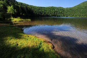 NOUL PLAN DE MANAGEMENT AL REZERVATIILOR LACUL SFANTA ANA SI TINOVUL MOHOS Vacante si Calatorii