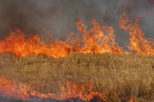 POMPIERII AU DEMARAT CONTROALE LA CEI ANGRENATI IN CAMPANIA DE RECOLTARE A PAIOASELOR Stiri agricole