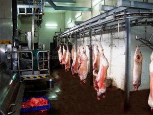TARIF PENTRU SUPRAVEGHEREA SANITARA VETERINARA DE LA 1 IANUARIE 2019 Stiri agricole