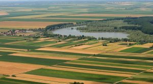 CARE SUNT CULTURILE CARE NE POT ADUCE UN PROFIT CAT MAI BUN Agricultura europeană
