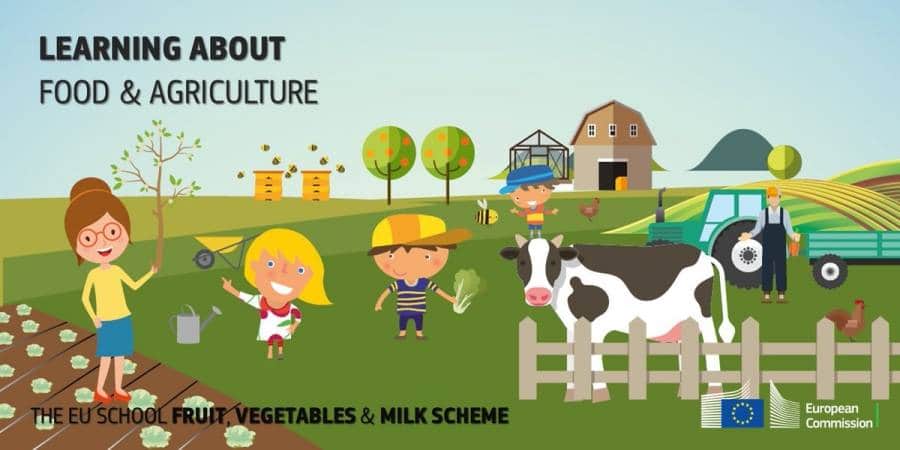 S-A STABILIT CATI BANI VOR FI ALOCATI SCOLILOR PENTRU PRODUSE LACTATE, DE PANIFICATIE SI LEGUME-FRUCTE 1 S-A STABILIT CATI BANI VOR FI ALOCATI SCOLILOR PENTRU PRODUSE LACTATE, DE PANIFICATIE SI LEGUME-FRUCTE S-A STABILIT CATI BANI VOR FI ALOCATI SCOLILOR PENTRU PRODUSE LACTATE, DE PANIFICATIE SI LEGUME-FRUCTE Legislatie