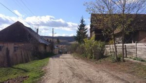 PLATFORMA DE COLECTARE SI MANAGEMENTUL GUNOIULUI DE GRAJD IN COMUNA BICHIS Stiri agricole