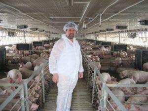 CUM MAI STAM CU EVOLUTIA PESTEI PORCINE AFRICANE IN ROMANIA Comunicate