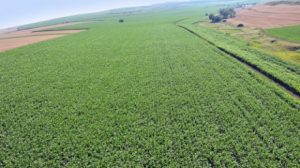 10 DOSARE PE AGRICULTURA SI PESCUIT INCHISE DE CATRE ROMANIA Cercetare