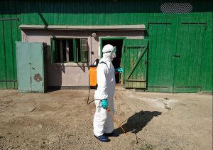PENTRU UNII TRAGEDIE, PENTRU ALȚII BOGĂȚIE. PESTA PORCINĂ LE-A DAT IDEI ESCROCILOR CARE S-AU TRANSFORMAT PESTE NOAPTE ÎN VETERINARI Afaceri