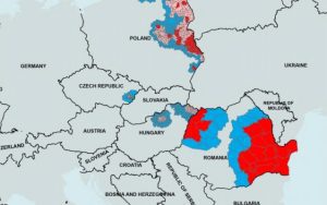 PESTE 140.000 DE PORCI AU FOST DEJA SACRIFICAȚI. PUTEM REPOPULA ÎN APROXIMATIV 4 LUNI Realitatea Rurala