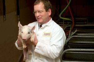 CARE ESTE ACTIUNEA ESENTIALA PENTRU COMBATEREA PESTEI PORCINE AFRICANE, CONFORM OIE Alimentatie-retete