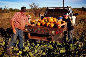SUBMASURA ”INVESTITII IN EXPLOATATII AGRICOLE„ - 31 DECEMBRIE TERMEN LIMITA PENTRU DEPUNEREA CERERILE DE FINANTARE Realitatea Rurala