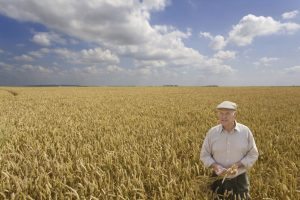 TOPUL VALORII PLATILOR PENSIONARILOR AGRICULTORI Stiri agricole