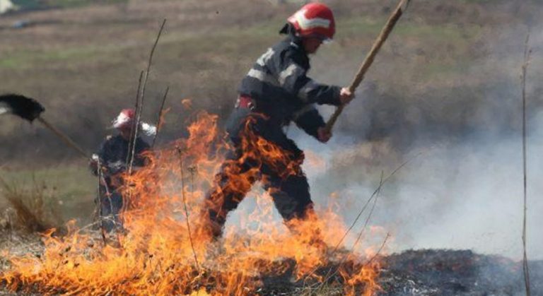 incendiu agricol