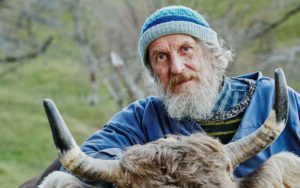 DE CE AU ELVETIENII IN ACEST WEEKEND UN REFERENDUM DESPRE COARNELE VACILOR Agricultura europeană