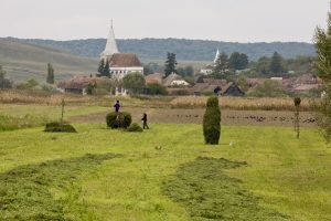 SOLICITARI DE 256 MILIOANE DE EURO PENTRU DEZVOLTAREA FERMELOR MICI PRIN PNDR 2020 Tehnologii si utilaje