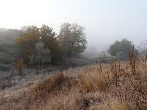 PROGNOZA AGROMETEOROLOGICA PENTRU PERIOADA 16 - 22 Noiembrie 2018 Meteo